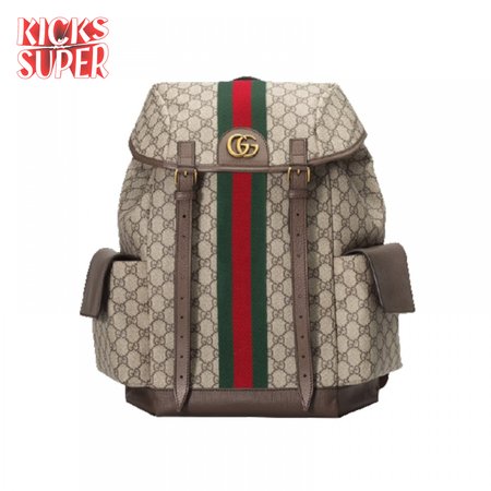 Gucci Ophidia Gg Backpack - GBP107